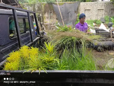 proses pengangkutan tanaman hias untuk dekorasi huruf timbul