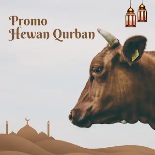 ucapan hari raya idul adha qurban 2025