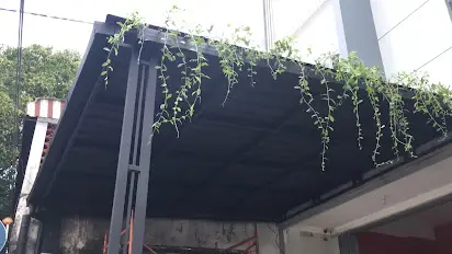 canopy + tanaman menjalar aesthetic canopy + tanaman menjalar aesthetic