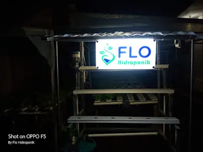 Tampilan Saat Malam Neon Box FLO Hidroponik